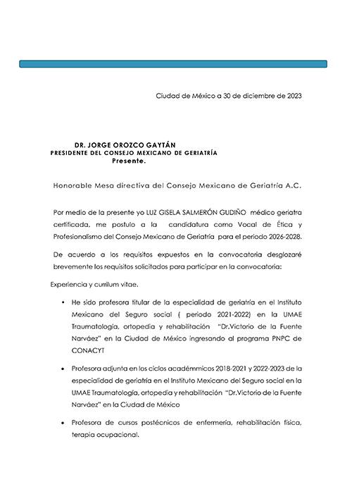 CV Dra. Luz Gisela Salmerón Gudiño